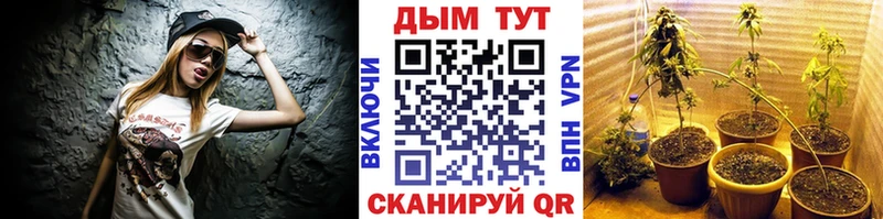 Какие есть наркотики Прокопьевск A PVP МЕФ Гашиш Канабис