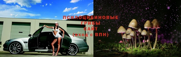 дурь Лагань