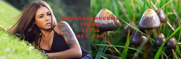 дурь Лагань