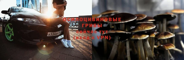 apvp Лиски