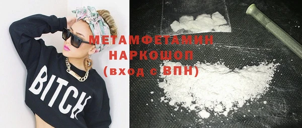 индика Пенза