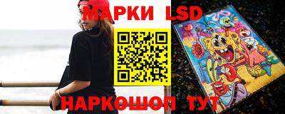 стаф Донской