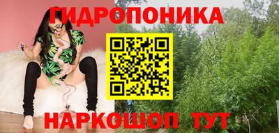 стаф Донской
