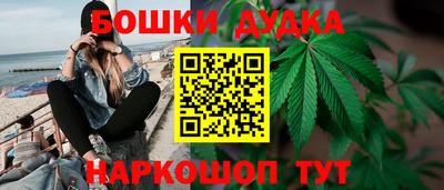 мдпв Дубна