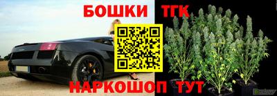 стаф Донской