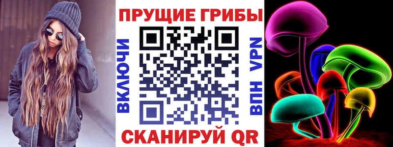 shop клад  Прокопьевск  Псилоцибиновые грибы мухоморы 