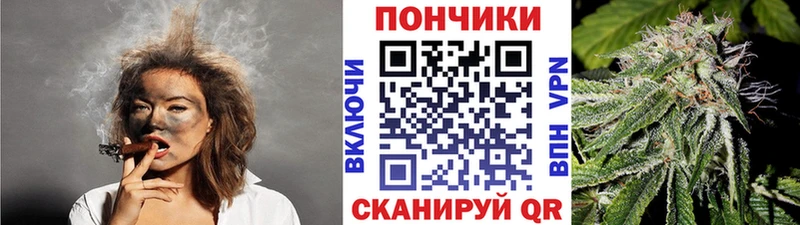 Шишки марихуана ГИДРОПОН  где купить наркоту  Прокопьевск 