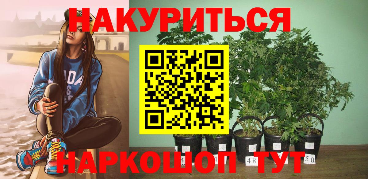 Канабис Amnesia  Каннабис план  Каннабис VHQ  Прокопьевск  Вход с VPN  Канабис Bruce Banner 